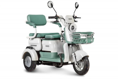 Электротрицикл Rutrike Gelbert Mercury 48V/60V 650Вт Зеленый HV Market