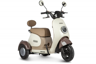 Электротрицикл Rutrike Gelbert Ogma 48V/60V 650Вт Белый HV Market