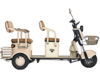 Электротрицикл Rutrike Gelbert Atlas 48V/60V 600Вт Бежевый HV Market