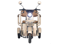 Электротрицикл Rutrike Gelbert Atlas 48V/60V 600Вт Бежевый HV Market
