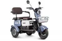 Электротрицикл Rutrike Gelbert Sun 48V/60V 650Вт Фиолетово-белый HV Market