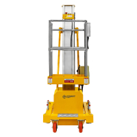 Подъемник мачтовый несамоходный GTWY 8-100 (220В; 125 кг; 8 м) SMARTLIFT HV Market